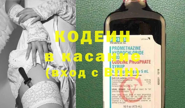 гашик Вяземский