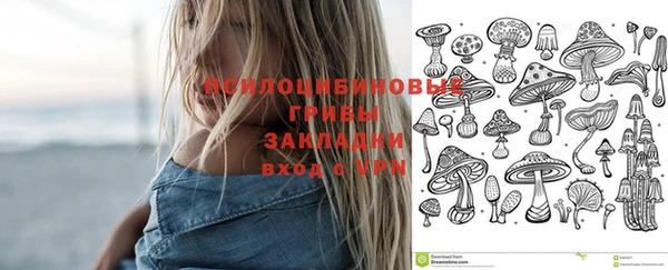 первитин Володарск