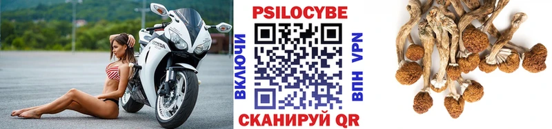 Галлюциногенные грибы MAGIC MUSHROOMS  Купить закладки  Верхний Тагил 